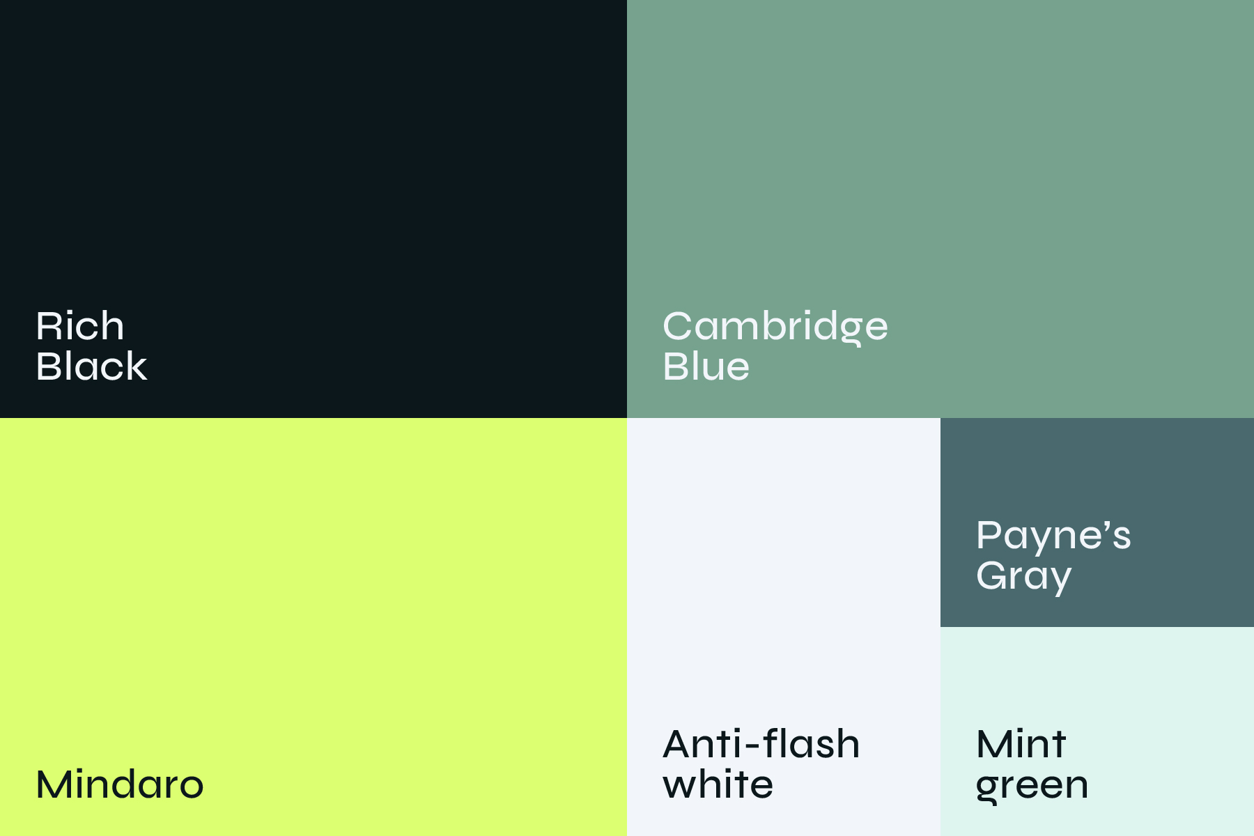 Palette colori di bølgeform: rich black, cambridge blue, mindaro, anti-flash white, payne’s gray e mint green